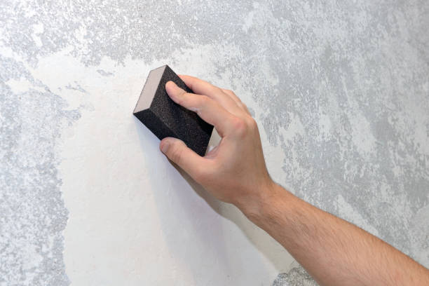 Trusted Monroeville, AL Mold Removal Experts