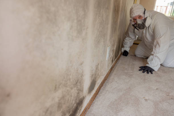 Best Real Estate Mold Inspection  in Monroeville, AL